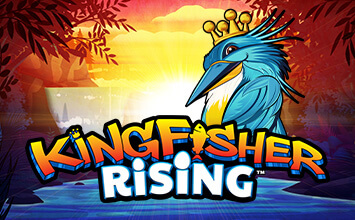Kingfisher Rising