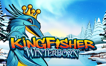 Kingfisher Winterborn