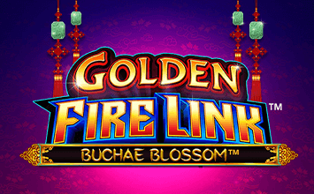 Golden Fire Link Buchae Blossom