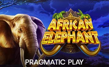 African Elephant