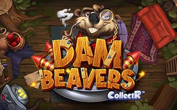 Dam Beavers