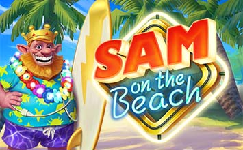 Sam on the Beach