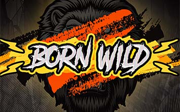 Born Wild