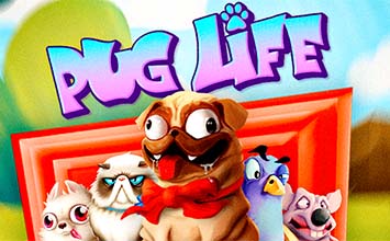 Pug Life