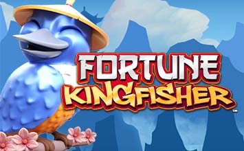 Fortune Kingfisher