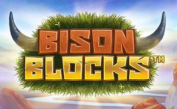 Bison Blocks