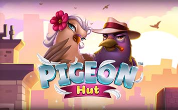 Pigeon Hut
