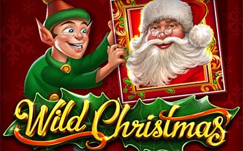 Wild Christmas