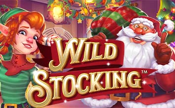 Wild Stocking