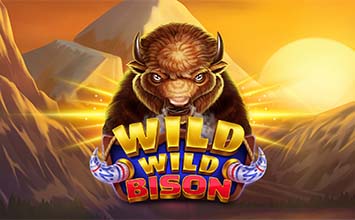 Wild Wild Bison