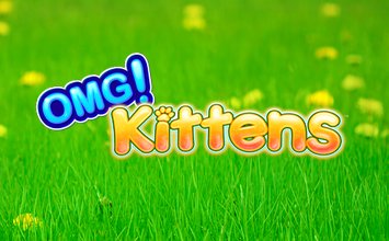 OMG Kittens