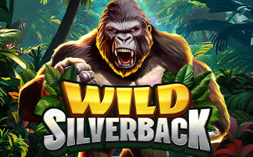 Wild Silverback