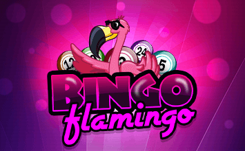 Bingo Flamingo