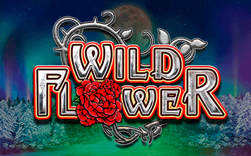 Wild Flower
