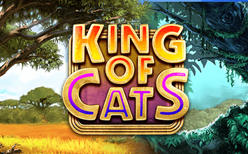 King of Cats